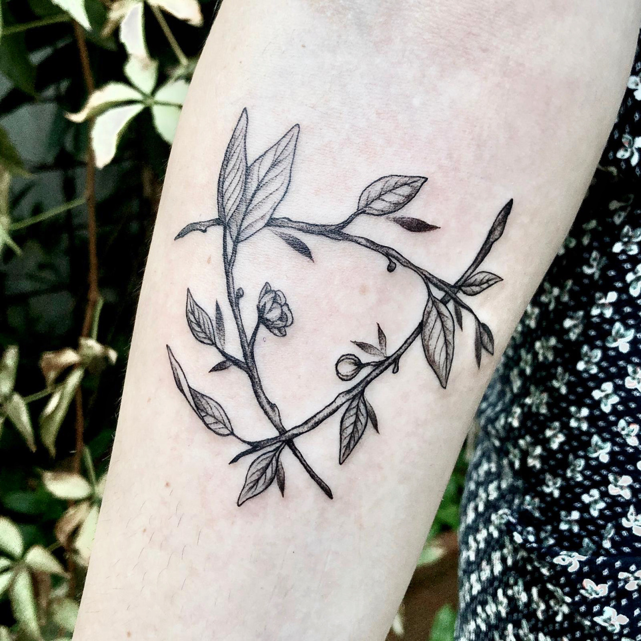 Tattoo uploaded by Lazlo DaSilva • Nº295 Family Tree #tattoo #tatuaje #tree  #treetattoo #family #legacy #blackwork #blacktattoo #roots #branches  #bylazlodasilva • Tattoodo