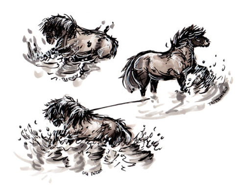 dahtwitchi:Hiiiii ponies! Shetland squad is back and @sylencia went quite off track from the ponyver