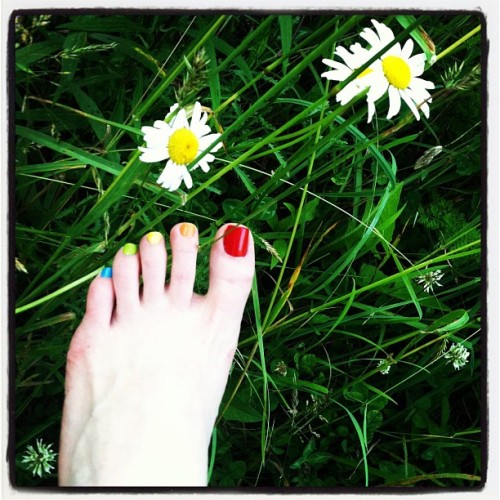 #rainbowtoes #wildflowers #feet #nature #footfetish