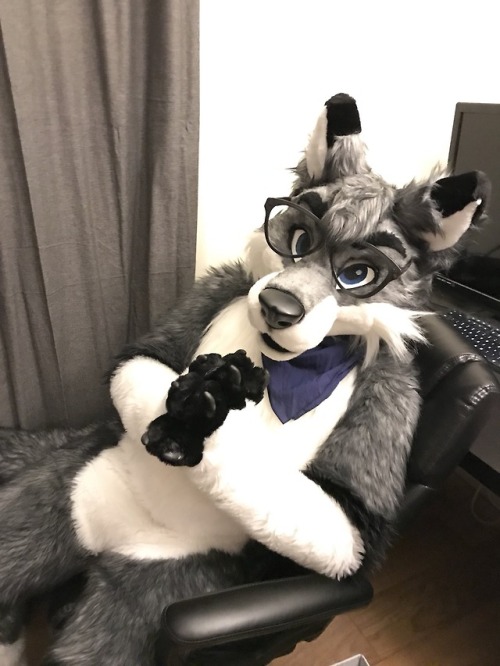 fursuitpursuits - RT @KyashKT - The professor will see you...