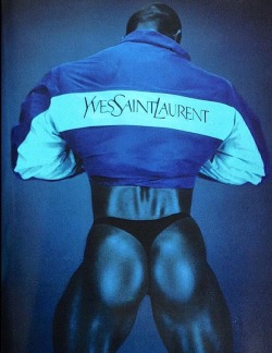 fonziedidit:  YSL 