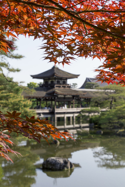 ileftmyheartintokyo:Heian jingu, temple garden by Sky carp