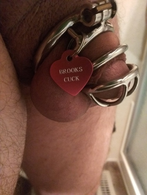 two-years-owned:flcuck: A constant reminder of who owns my penis. Love it. Used to have the same thi