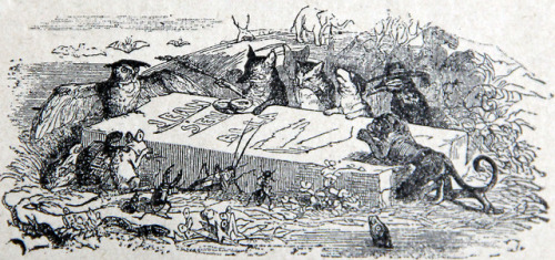 Illustrations by J. J. Grandville, 19th century