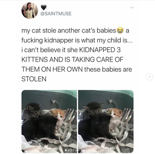 hyperactivehedgehog:askadromming:justcatposts:Don’t judge her, she probably couldn’t afford adoption