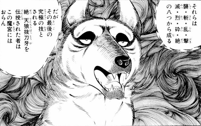 Tumblr