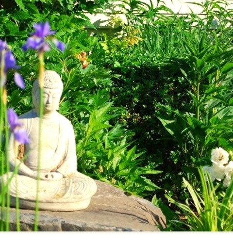 Natural Stone Pavers - Transitional Landscape Summertime Landscaping Ideas For A Medium-sized Transitional