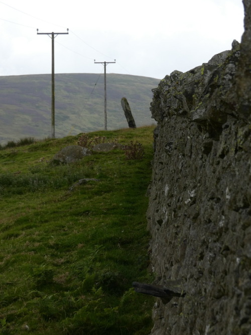 Ffon-y-Cawr ‘The Giant’s Staff’ Standing Stone, Conwy, 4.8.17. Legend has it that 