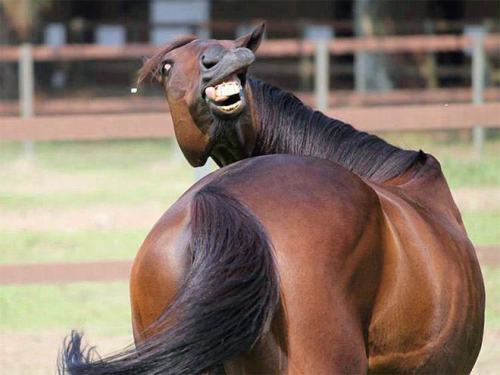pleatedjeans:  Nature is Majestic (24 Pics) 
