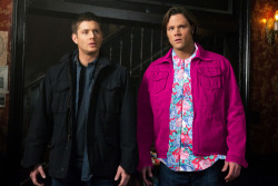 bakasara:  sendermage:  omohide-poro-poro:  elevenis-my-doctor:  pizzapig:  sendermage:  I was going to do both but I was too traumatized after one.  Supernatural AU where everything is the same but plaid is replaced with floral print and pastel pink.