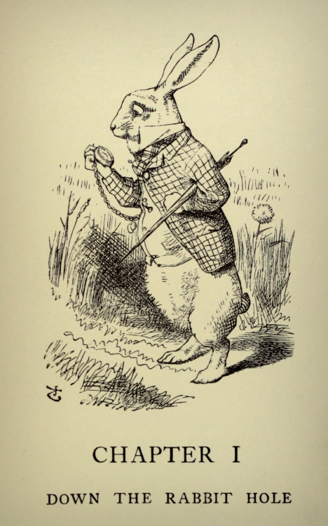 michaelmoonsbookshop:Some of John Tenniel’s legendary illustrations from Alice’s Adventures In Wonde