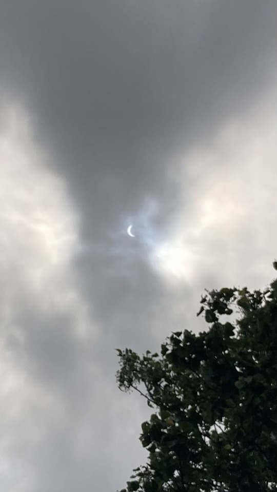 Under Arrest Because Of The Partial Eclipse From My Backyard I Guess.