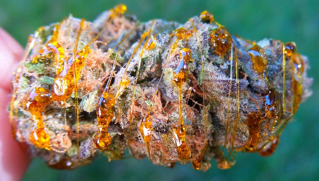 smokethesativa:  karlkronic:  Oh baby, it’s a wild world.  Follow on Instagram