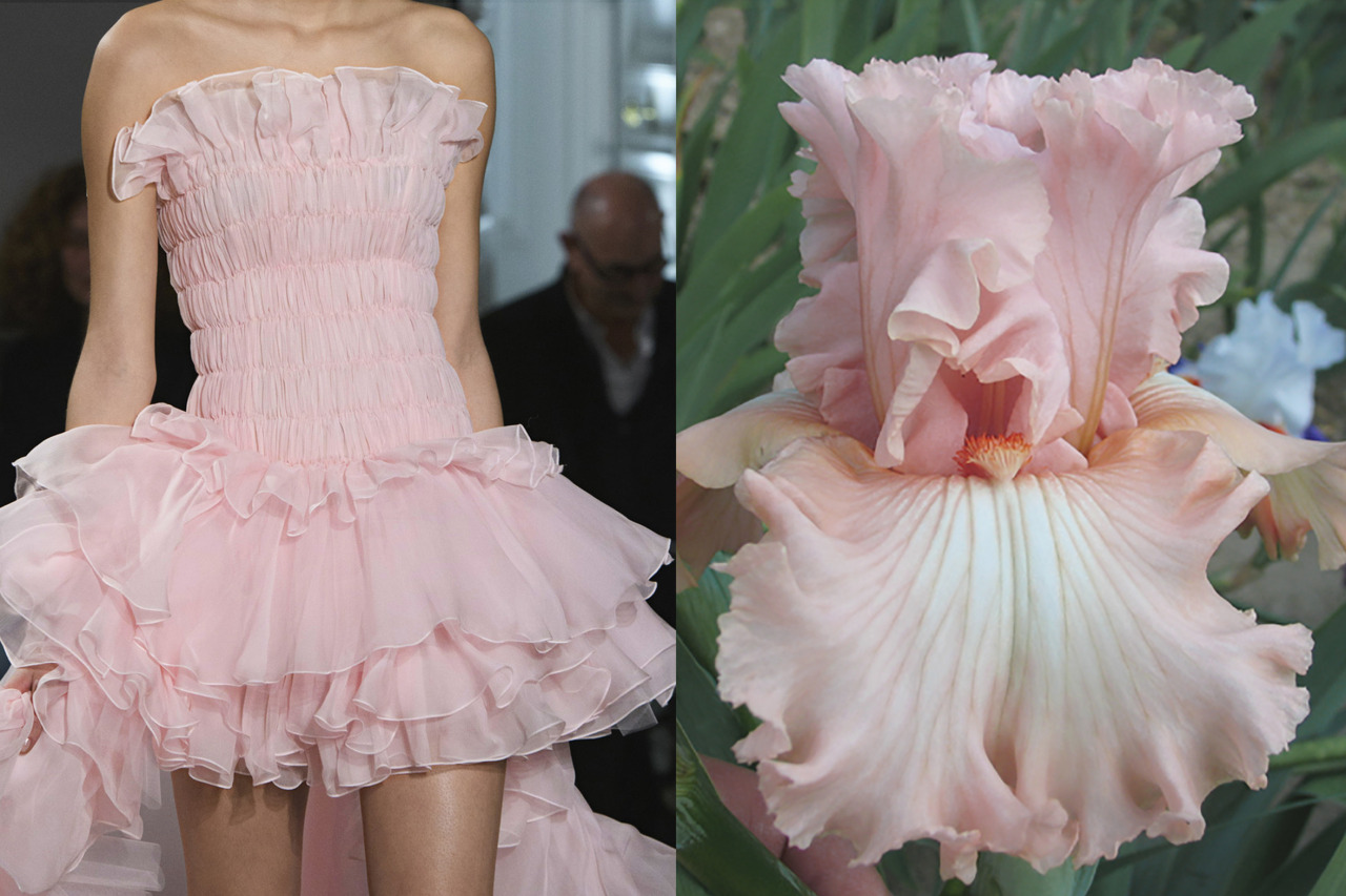 whereiseefashion: Match #377 Details at Giambattista Valli Haute Couture Spring 2017