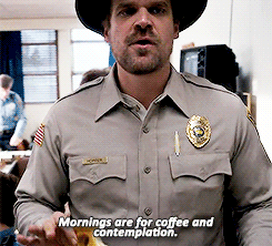 katiebishiop:  On a more pressing matter, Joyce Byers can’t find her son this morning. 