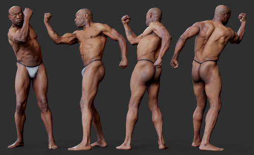 Male anatomy reference scans available on our scanstore www.3dscanstore.com