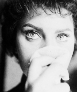 msmildred:  Sophia Loren, c. 1956. 