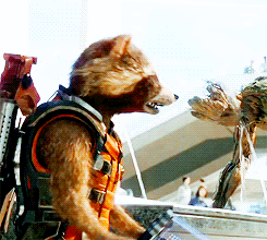 Gif The Screen