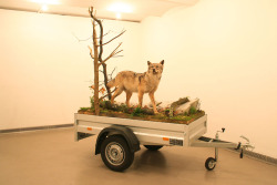Mark Dion, Wolf - Mobile Wilderness Unit, 2006