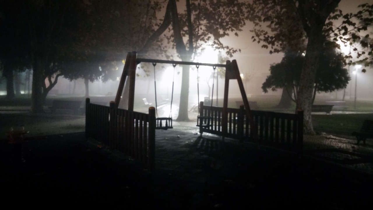 defeat3rr: defeat3rr.tumblr.com foggy night in the park (my photo. please don’t