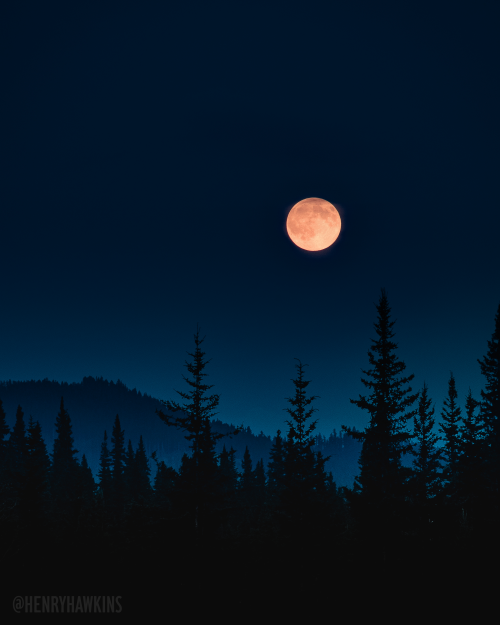 amazinglybeautifulphotography:Blood moon rising over a foggy forest in Nordegg, Alberta, Canada [400