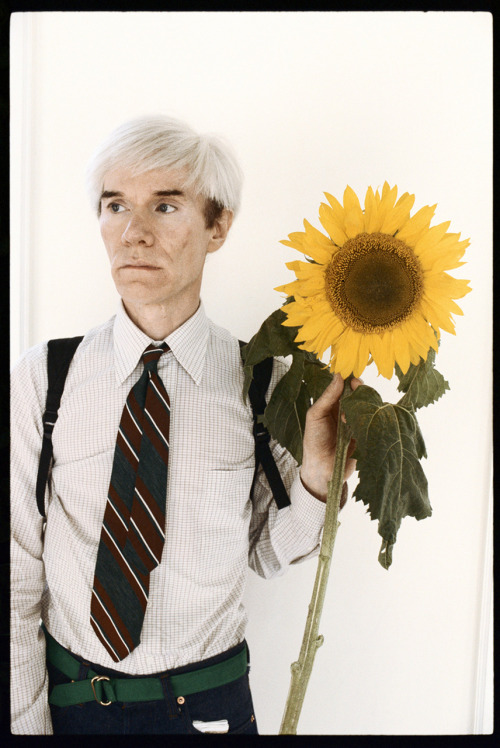 mskittycollins:   Andy Warhol photographed by Steve Wood September, 1981