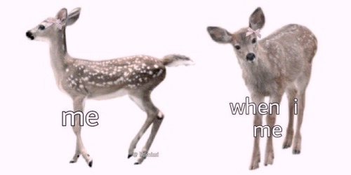 ' . , .