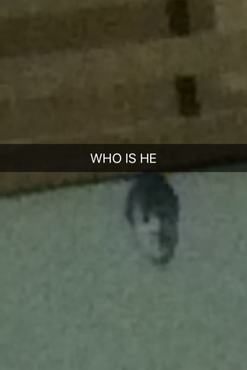 gay-onetta: There are pictures of this man’s face placed all over my campus and we all almost 