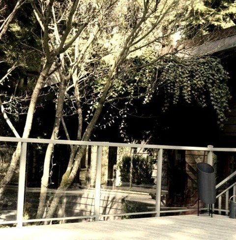 Vancouver Deck Uncovered