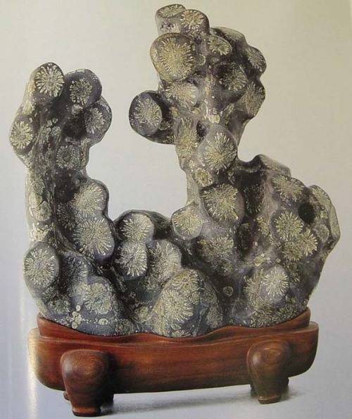 &lsquo;Flowering Suseok&rsquo; - korean natural sculptures of polished spherulitic rhyolite