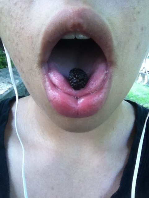 meadownymph:berry I found/ berry I found/ cigarette I was smoking because berries tasted bad. 