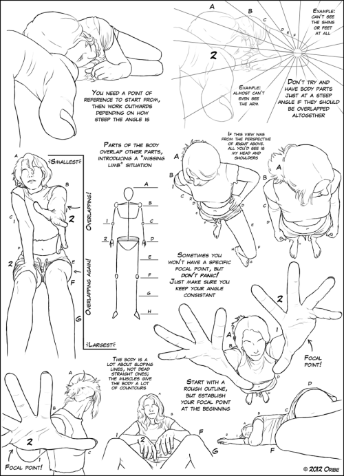 anatoref:Anatomy Tutorials, by DerSketchie