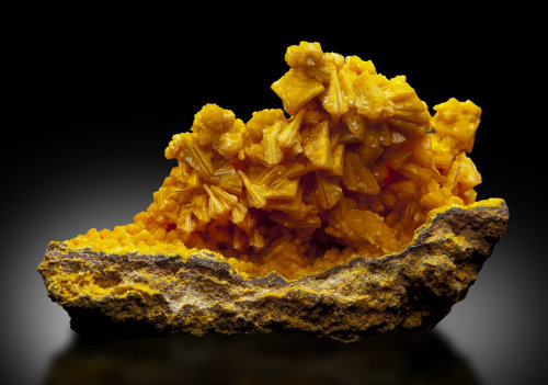 ifuckingloveminerals: FrancevilliteMounana Mine, Franceville, Haut-Ogooué Province, Gabon