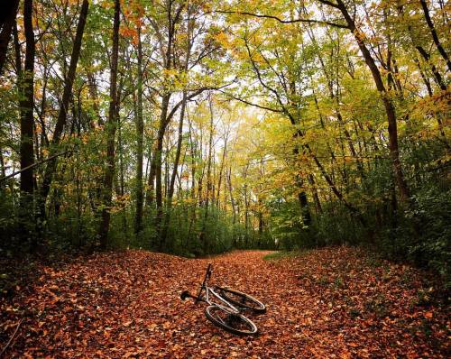 t6ryan:  Pathletics in full technicolor. #T6standard29 #RideMetal #T6lunchride #autumn #fallcolors #