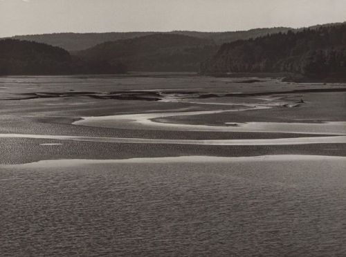 fragrantblossoms: 						 								Albert Renger-Patzsch.  Upper basin of the Möhnetal-Dam leaked, circa 1951.