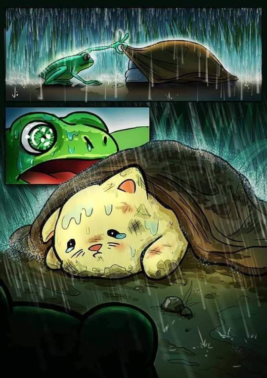 Frog and cat ...