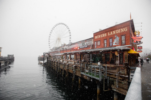 snowy seattle - winter 2019