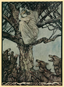 drakontomalloi:  Arthur Rackham - The Wooing of Becfola, an illustration for Irish Fairy Tales by James Stephens. 1920