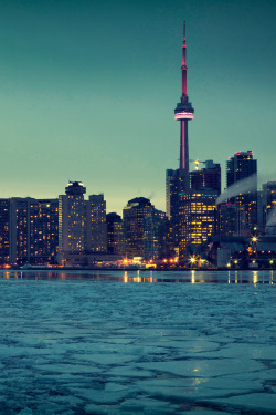 stayfr-sh:  Toronto Skyline