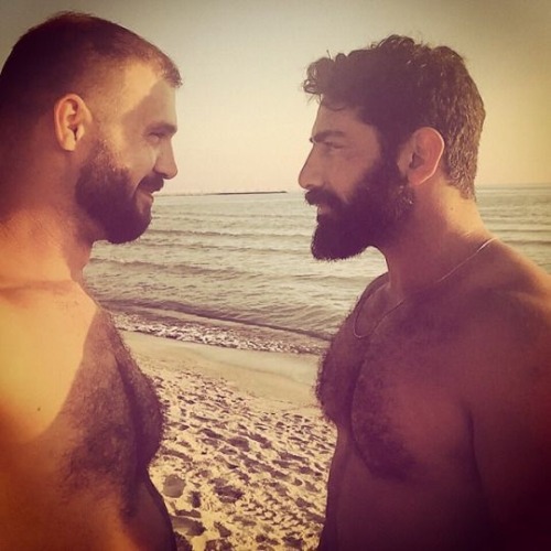 hairy nice men