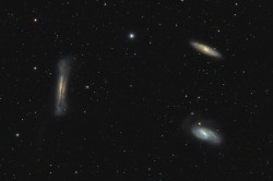 the-universe-njo:Leo Triplet