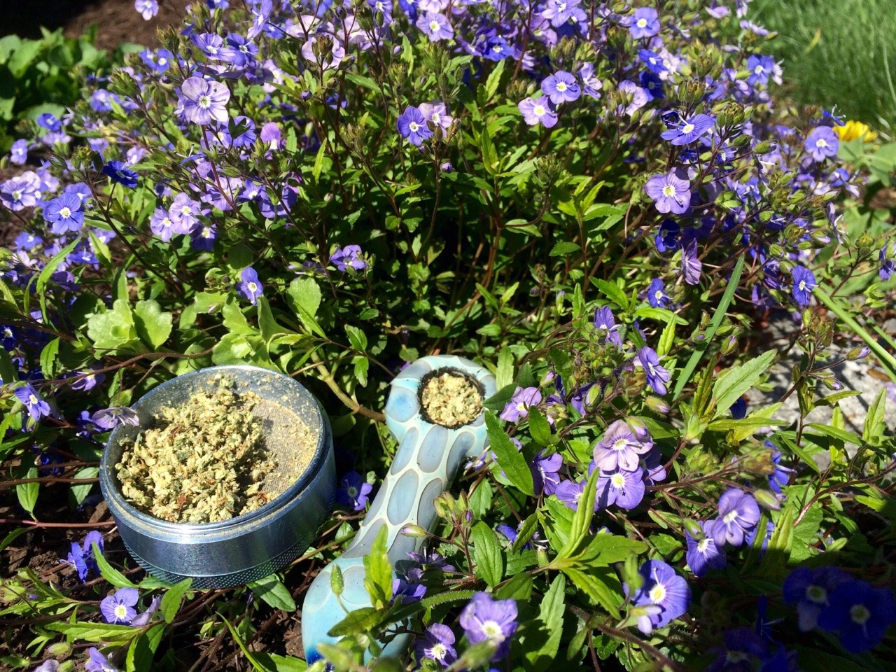 littletoker:  Got a thing for blue and flowers