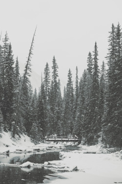 man-and-camera:  River in the Rockies ➾