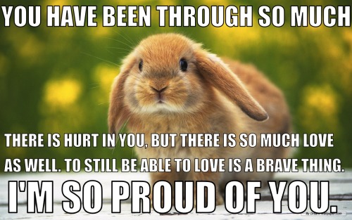 turning-back-into-soil:  Emotional support bunnies 