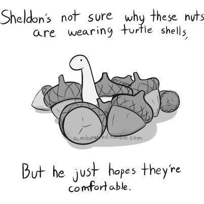 fatherphantom:  Fuck yeah, Sheldon the tiny dinosaur time! love this shit…love