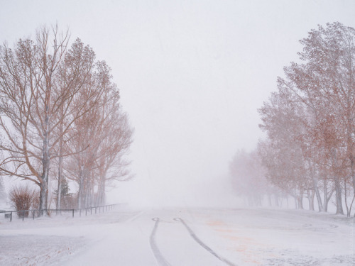 one last blast of winter. this week we had a legitimate blizzard roll through. I got out for an hour