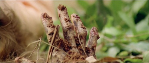 ozu-teapot: Zombie Flesh Eaters (AKA Zombi 2) | Lucio Fulci | 1979Also AKA Zombie…