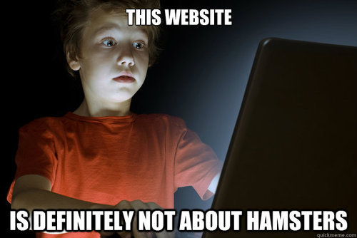 The truth about xHamster ☺