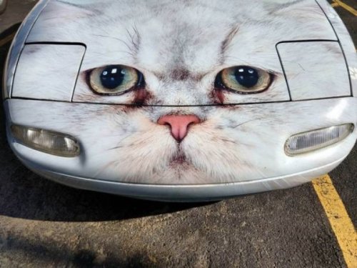 car decals