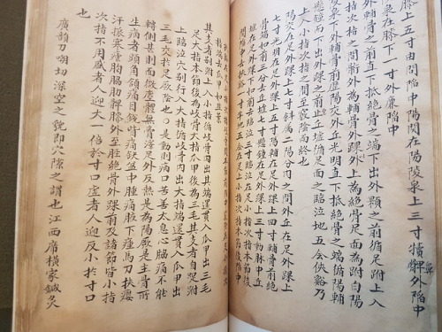 LJS 389 - [Shi si jing fa hui]This is a 14th-century treatise on the anatomy, physiology, and pathol